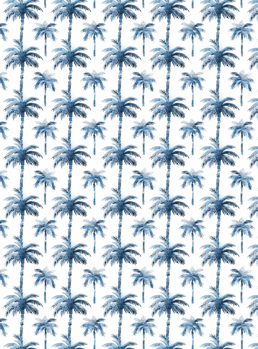 Summer 6