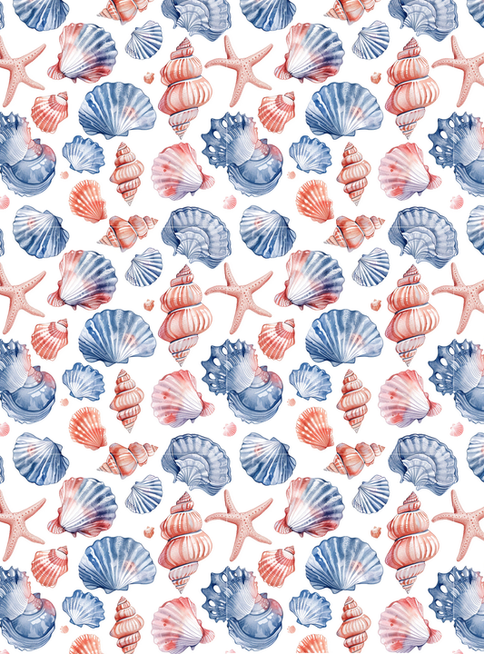 Seashell 3