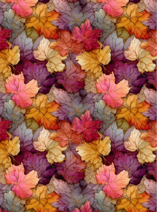Autumn 24