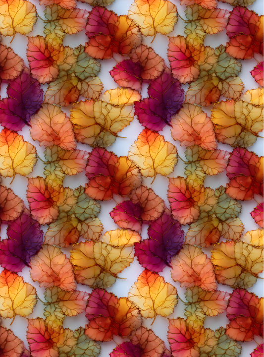 Autumn 17