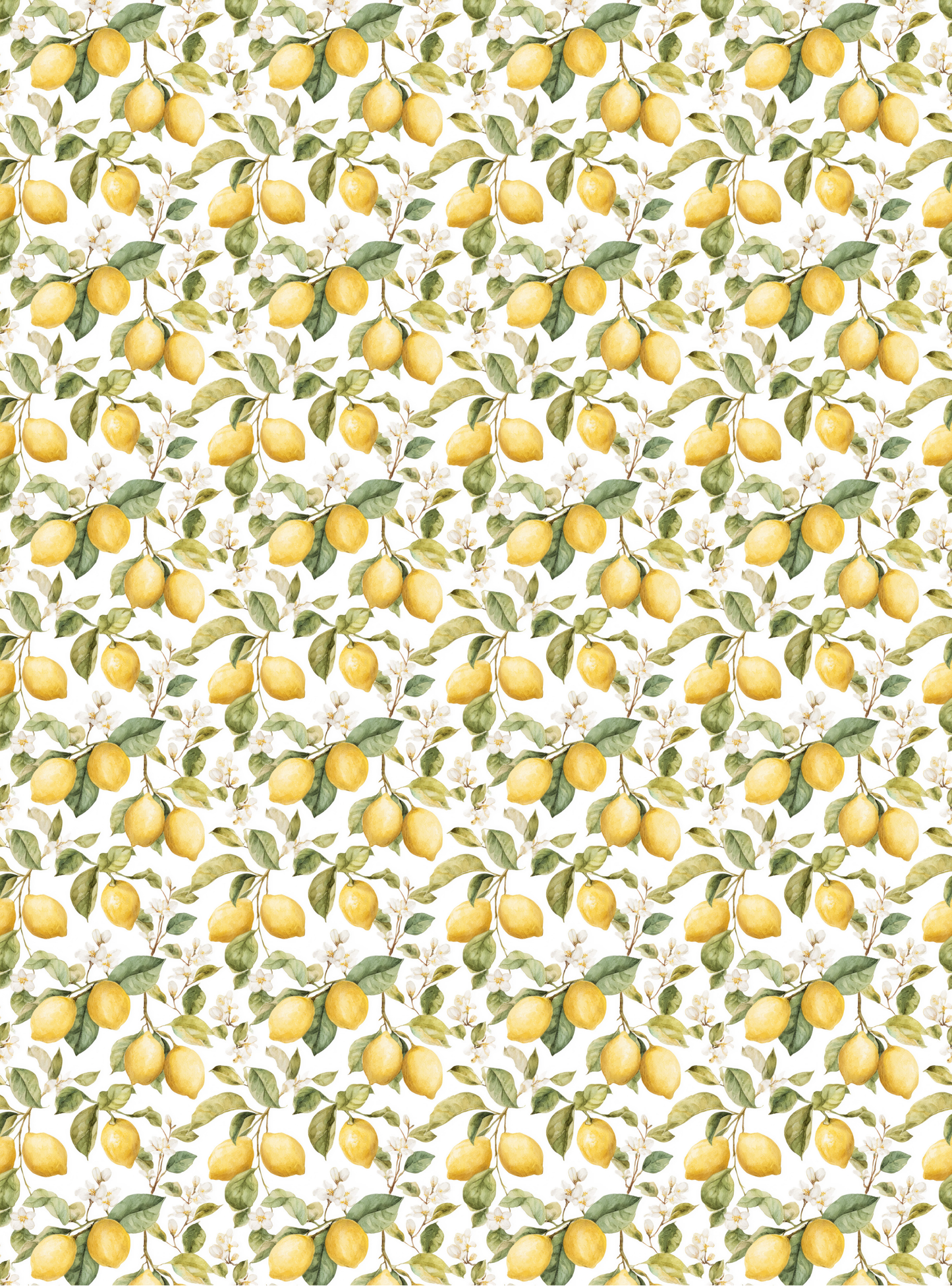 Fruits 22