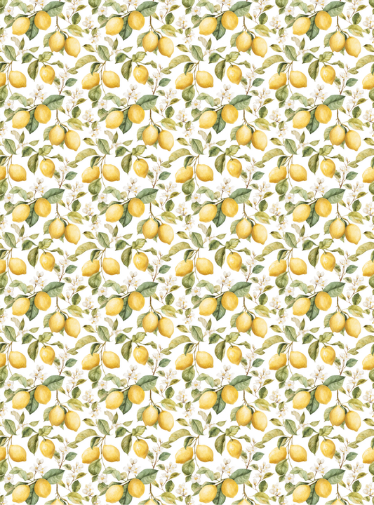 Fruits 22