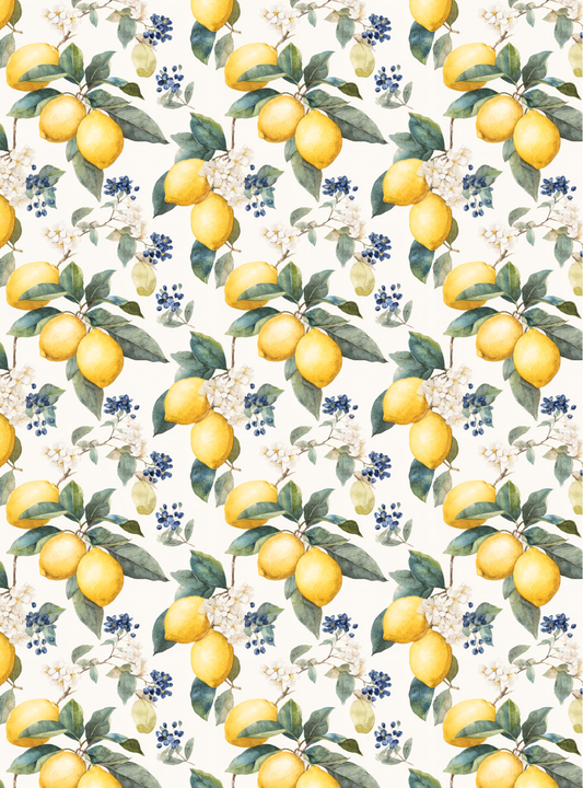 Fruits 21